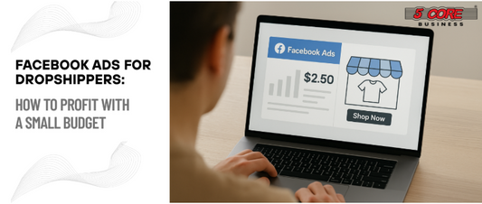 Facebook Ads for Dropshippers: How to Profit with a Small Budget