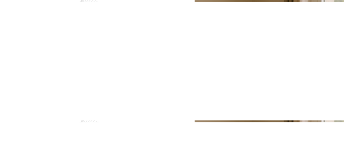 SEO for Dropshipping Stores: Rank on Google & Get Free Traffic