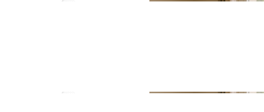 SEO for Dropshipping Stores: Rank on Google & Get Free Traffic