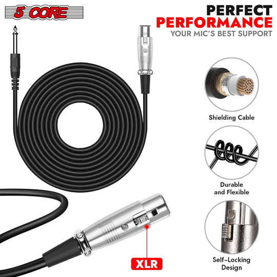 5Core XLR Microphone 2Pcs Dynamic Mic Karaoke Singing Studio Mics Handheld Microfono
