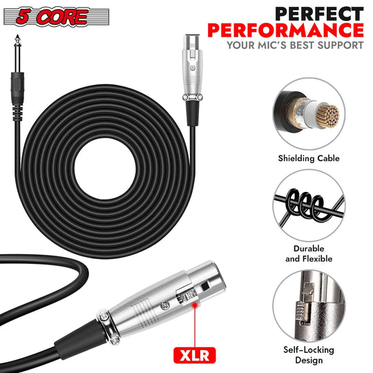 5Core mic for karaoke sessions and studio recording use