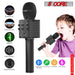 Portable Karaoke Microphone with Bluetooth