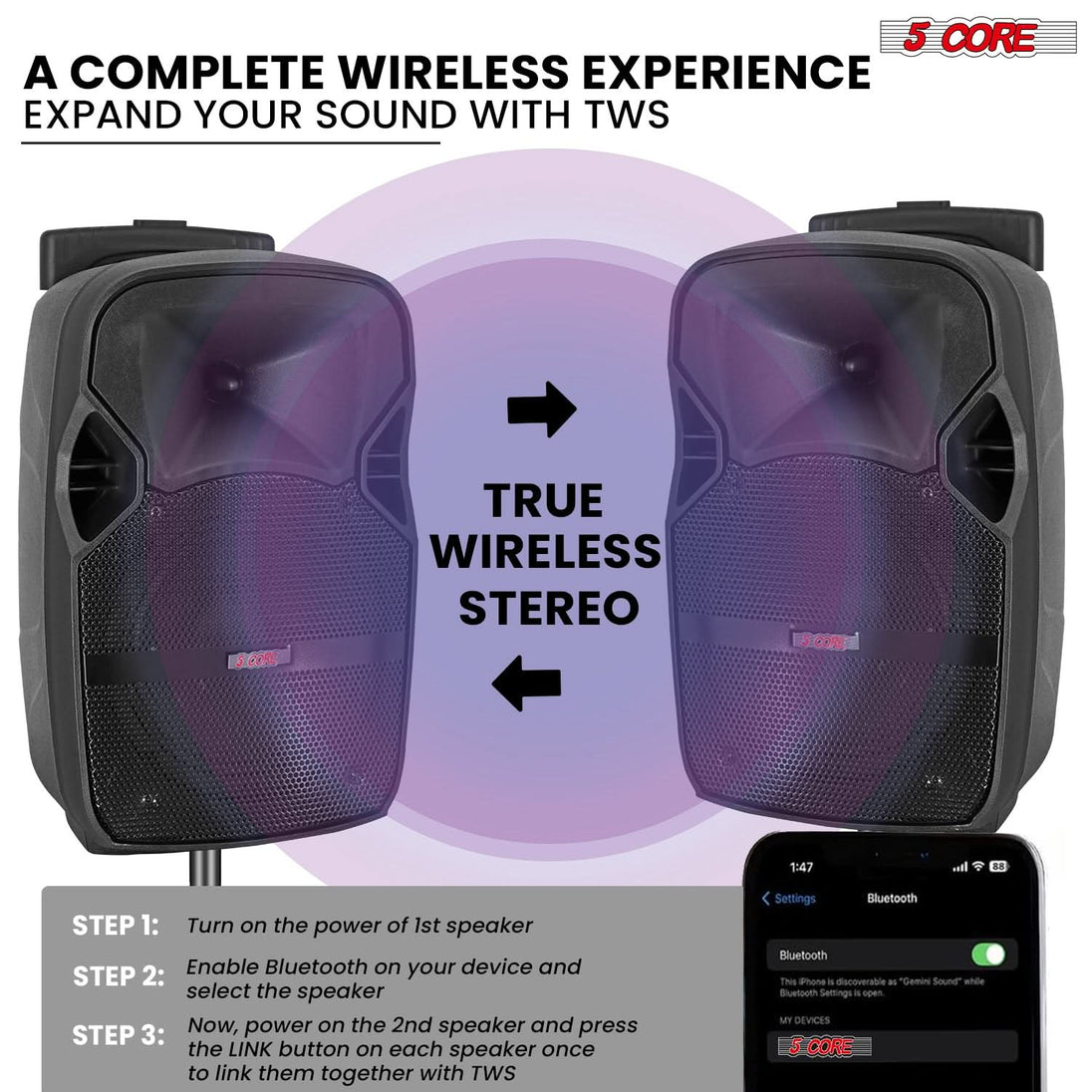 5Core Bluetooth PA speaker set with karaoke function and 2 microphones