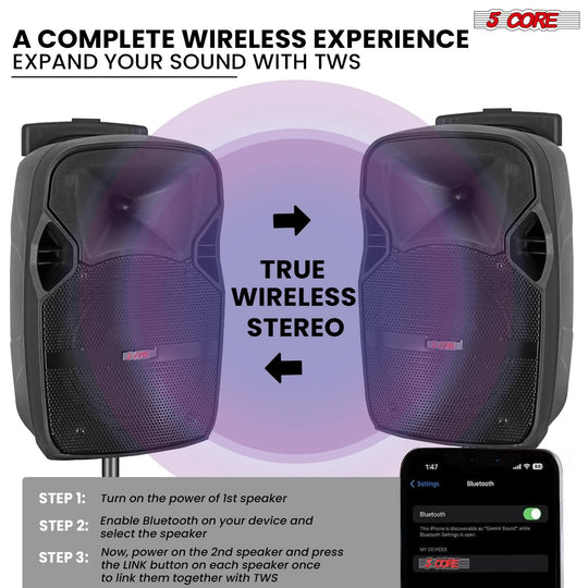 5Core Bluetooth PA speaker set with karaoke function and 2 microphones