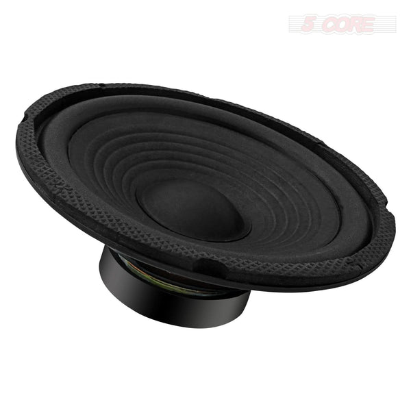 raw speaker
